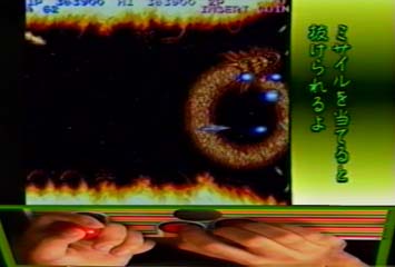 Game Simulation Video "Salamander"