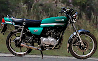 Kawasaki Z250 Scorpion.