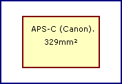 APS-C Sensor, (Canon).
22.2mm X 14.8mm. 