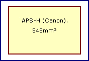 APS-H Sensor, (Canon).
28.7mm X 19.0mm. 
